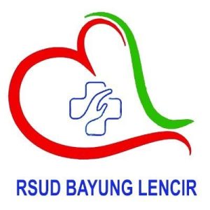 Lowongan Kerja Sumsel RSUD Bayung Lencir