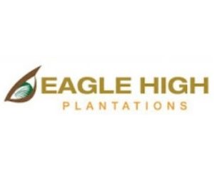 Lowongan Kerja PT Eagle High Plantations Tbk Terbaru