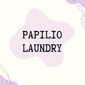 Lowongan Kerja Palembang Terbaru Papilio Laundry