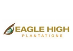 Lowongan Kerja Palembang Terbaru PT Eagle High Plantations Tbk