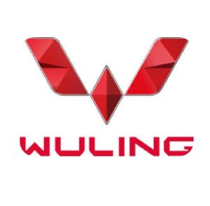 Lowongan Kerja Palembang Terbaru Wuling