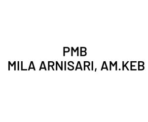 Lowongan Kerja Palembang Terbaru PMB Mila Arnisari AM KEB